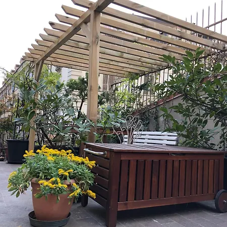 Con Terrazzo Sotto La Mole Homestay
